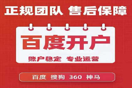 搜索引擎营销（SEM）成功案例详解
